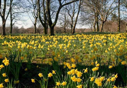 Response to the Spring Statement